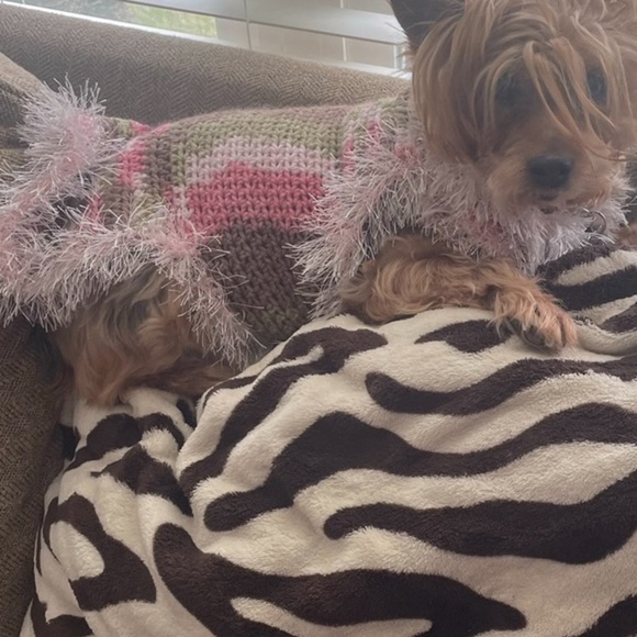 HAND CRAFTED Dog Sweater Coat Colorful Pink Chenille Cozy Crocheted XSmall - Picture 10 of 11